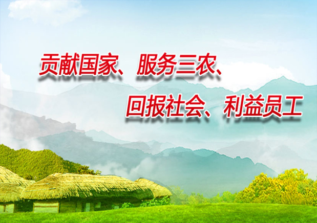 青島綠豐園種業有限公司